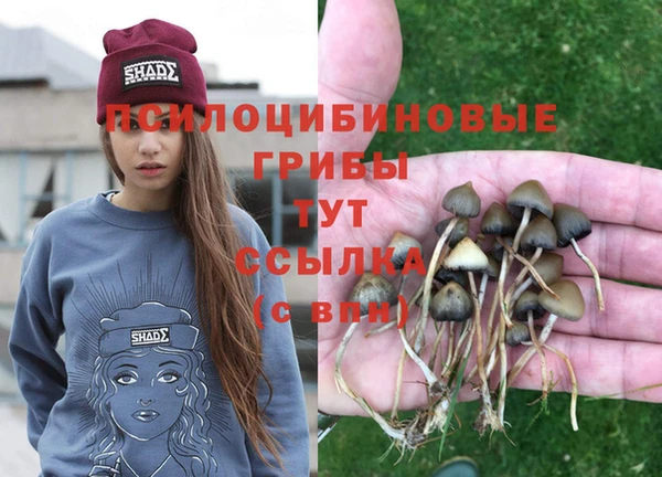 прущие крисы Кодинск
