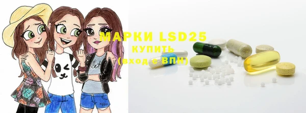 ПСИЛОЦИБИНОВЫЕ ГРИБЫ Белокуриха